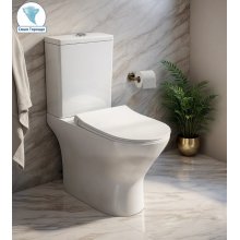 Унитаз Cerutti SPA BERNINA Tornado напольный 