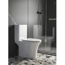 Унитаз Cerutti SPA BERNINA Tornado напольный 